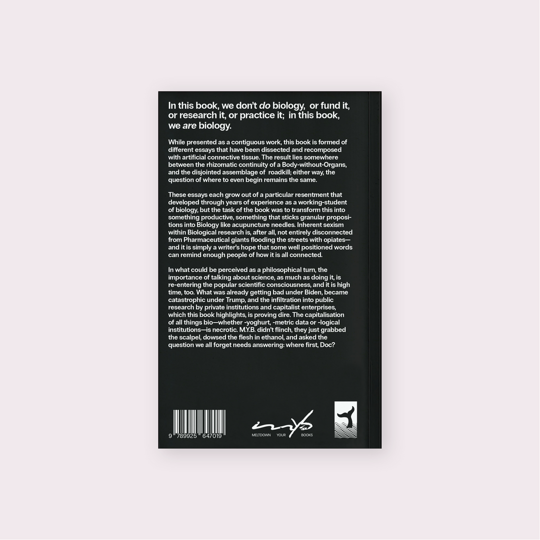 Where Does A Body Begin? — back cover