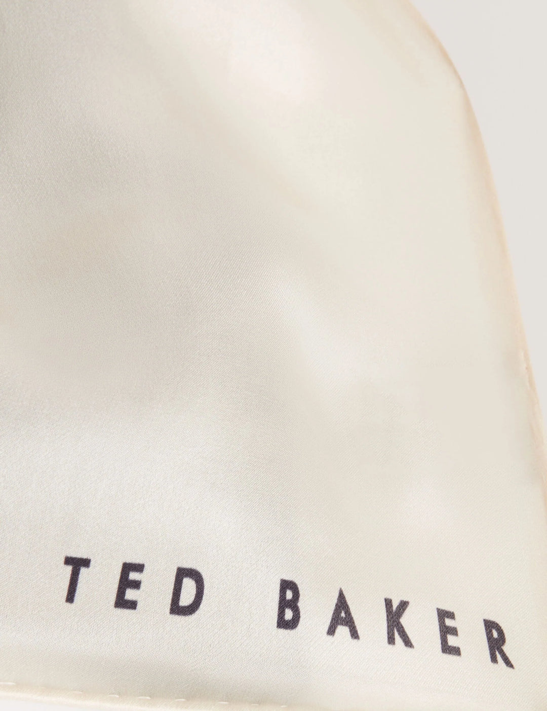 Ted Baker Teiaah Printed Silk Long Scarf | Navy