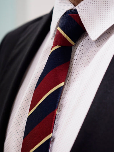 Lanvin Μεταξωτή γραβάτα | Κόκκινο / Μπλε