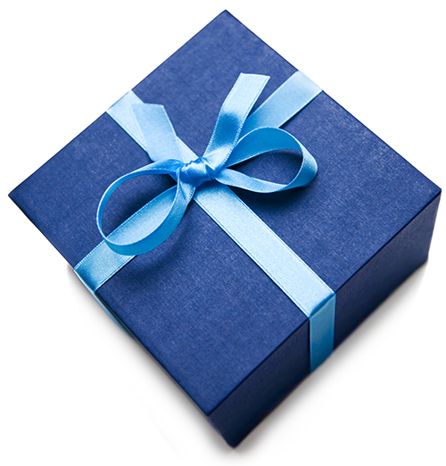 Nulls.Net Nulls Gift Product Gift Wrapping Option