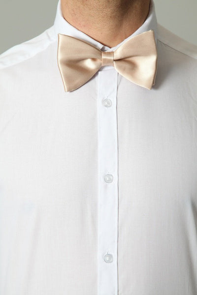 Pierre Cardin Bow Ties Pierre Cardin Bow Tie | PALE BEIGE